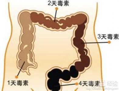 宝宝几个月膻肠子的成长之路