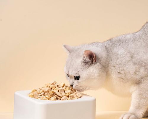 两个月的猫可以吃猫粮吗？解读猫咪饮食与成长