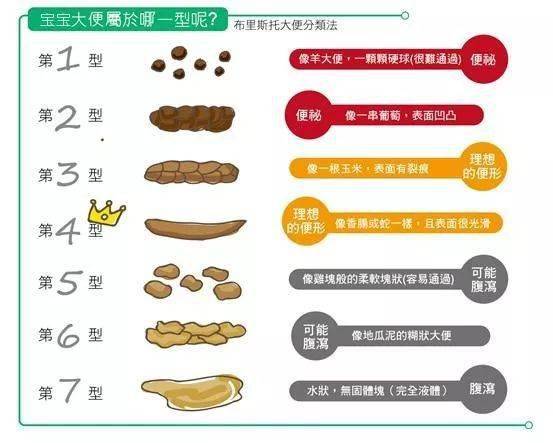 六个月宝宝大便正常的次数及其重要性