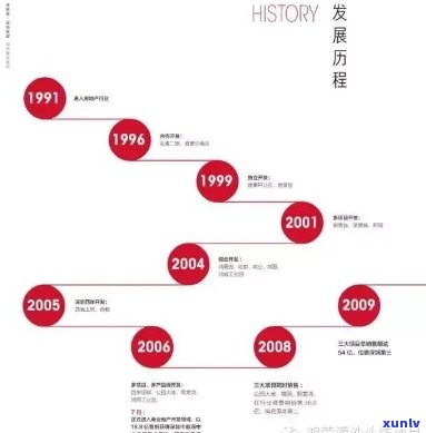 广东星河有限公司，历史沿革、业务布局与未来展望